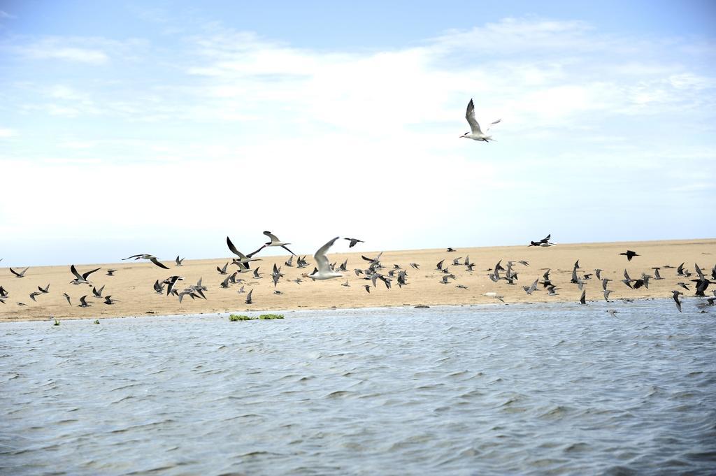 Hotelito Desconocido La Cruz de Loreto Екстер'єр фото